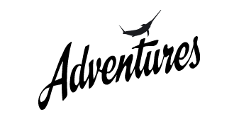 Grafisk profil - Logotyp - Adventures