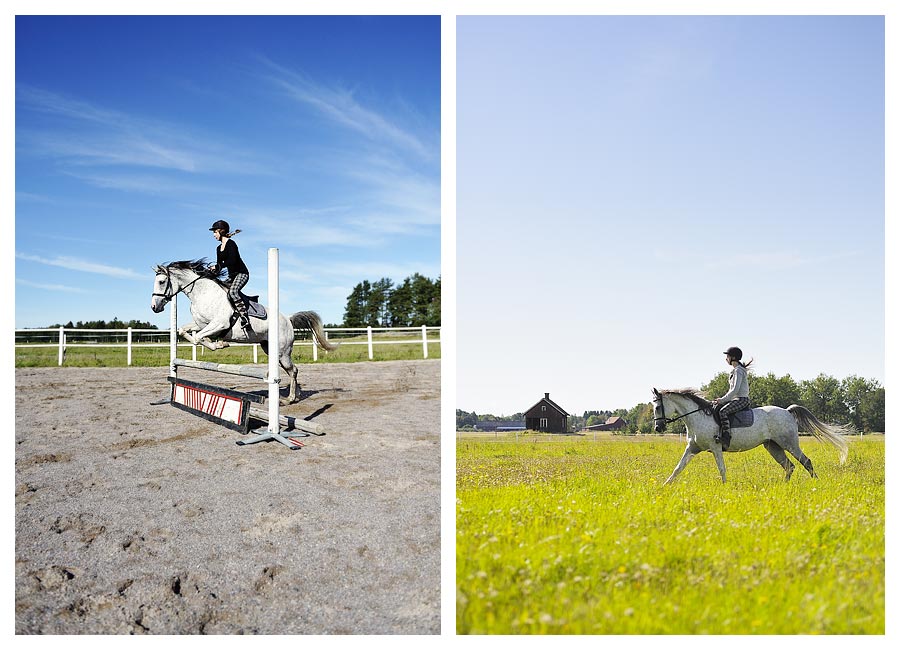 Hästfotografering med Pia Hagmar, hästhoppning och ryttare på äng