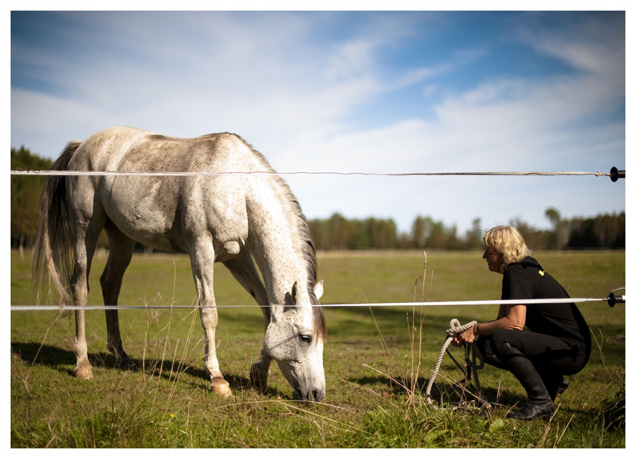 Författare Pia Hagmar med vit häst i hage